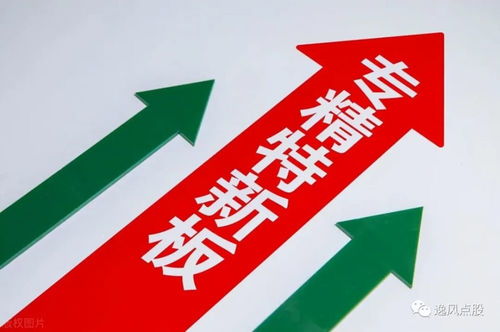 專精特新 崛起 16家績(jī)優(yōu) 小巨人 獲機(jī)構(gòu)扎堆關(guān)注